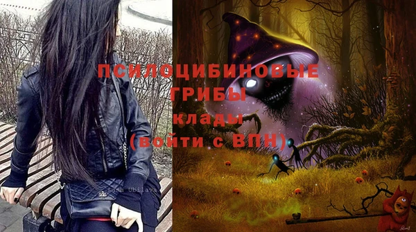 кристаллы Ельня