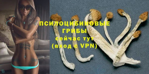 кристаллы Ельня