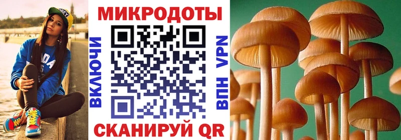 Псилоцибиновые грибы мухоморы  Западная Двина 