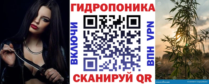 Бошки Шишки Amnesia  где можно купить   Западная Двина 
